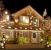 Parkland Christmas Light Hanging by Water Works Detailing